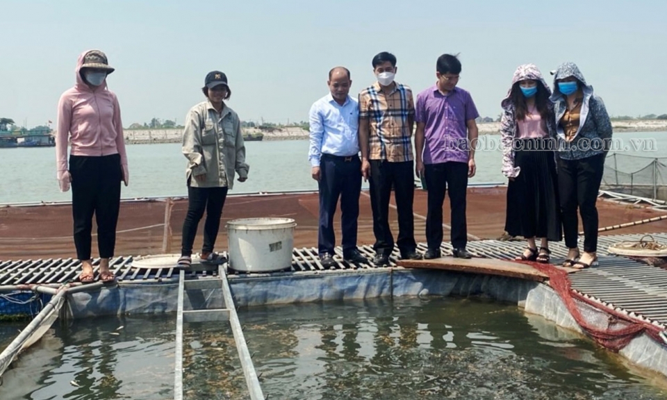 Dấu ấn tín dụng chính sách ở Quế Võ