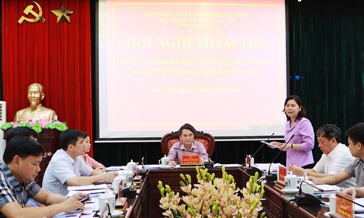 Ban Kinh tế - Ngân sách thẩm tra nội dung trình kỳ họp giữa năm HĐND tỉnh