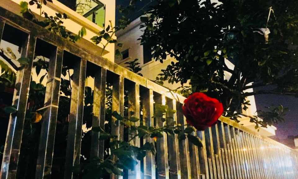 Chút tâm tình người yêu phố