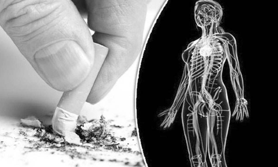 Những lợi ích tuyệt vời khi bạn bỏ thuốc lá thành công