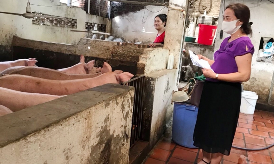 Người kết nối tín dụng ưu đãi  tới hội viên
