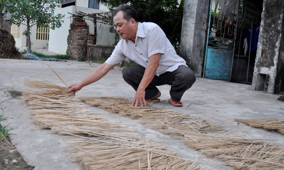 Trang bị kiến thức cho cán bộ HTX thích nghi với tình hình mới