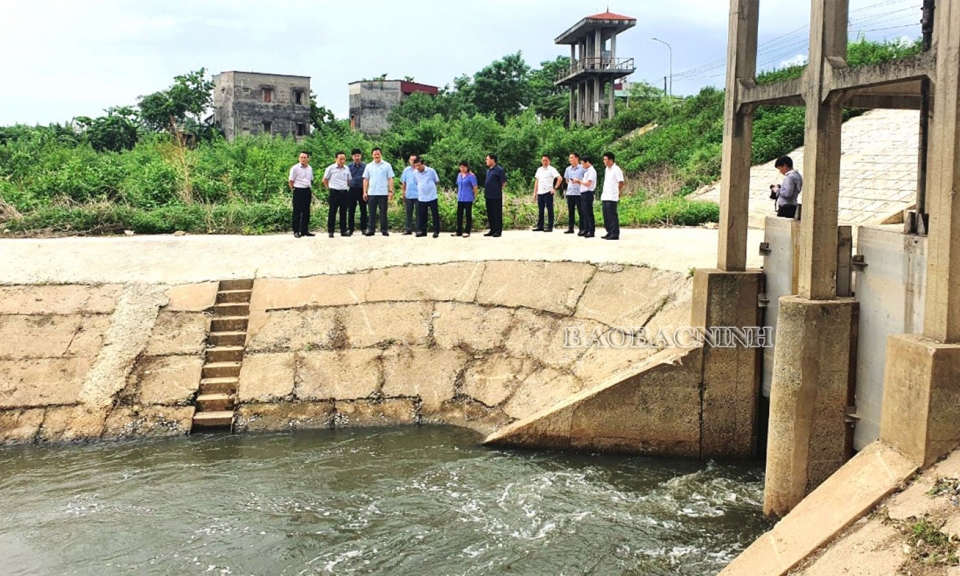 Chống úng nội đồng  cần giải pháp đồng bộ