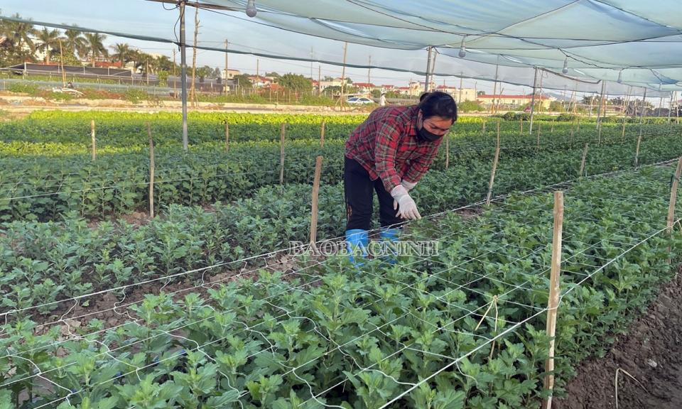 Khẳng định vai trò tín dụng chính sách ở thành phố Bắc Ninh