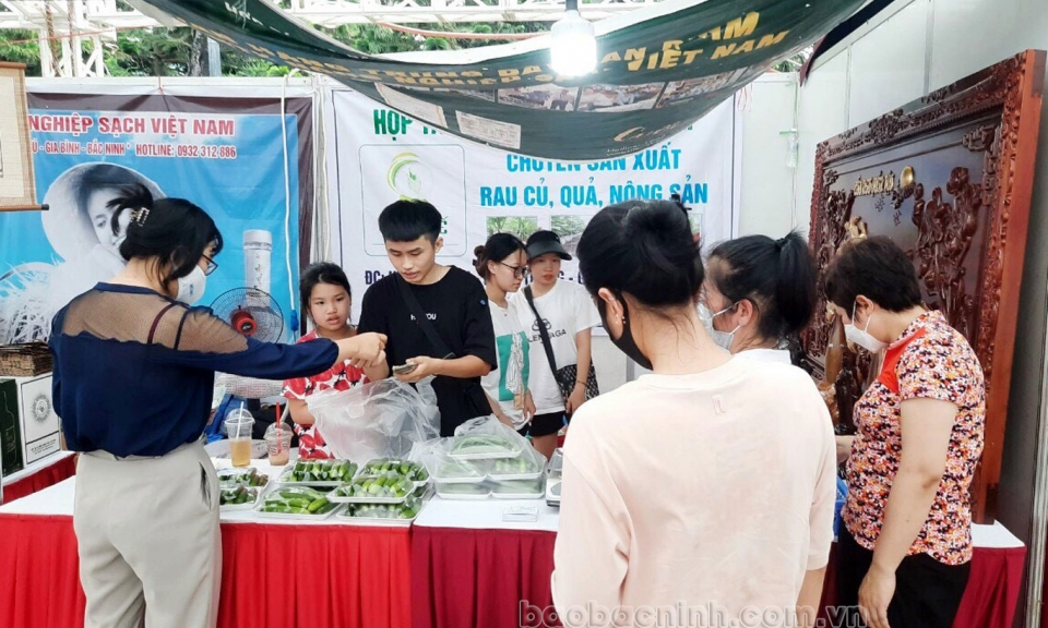 Toàn tỉnh thành lập mới 13 HTX