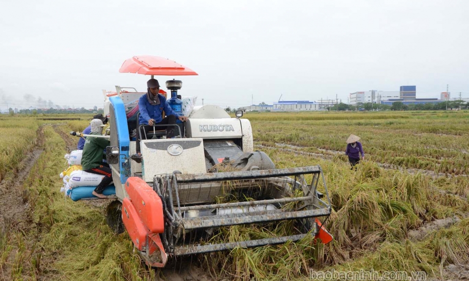 Quế Võ tích cực chuẩn bị sản xuất vụ mùa