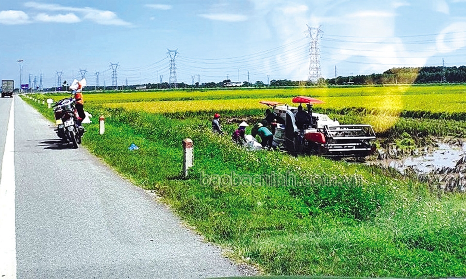 Thắng lợi lớn trong sản xuất vụ Xuân