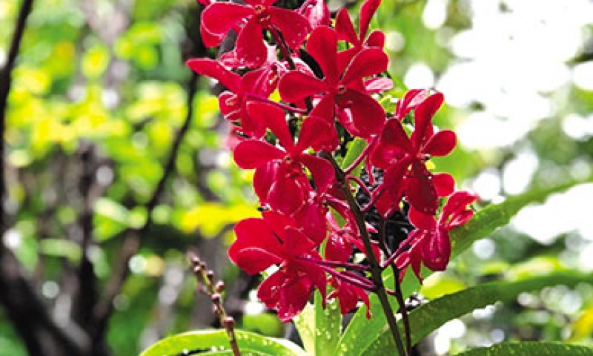 Soi sáng tâm hồn