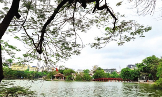Mùa đi ngang phố