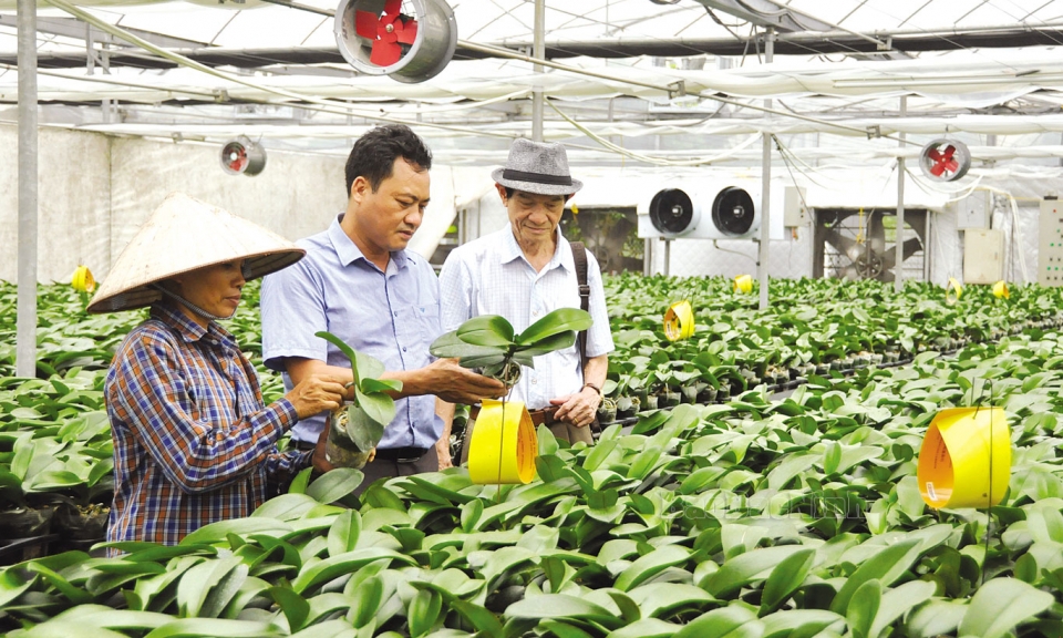 Thư viện điện tử đầu tiên  về khoa học công nghệ