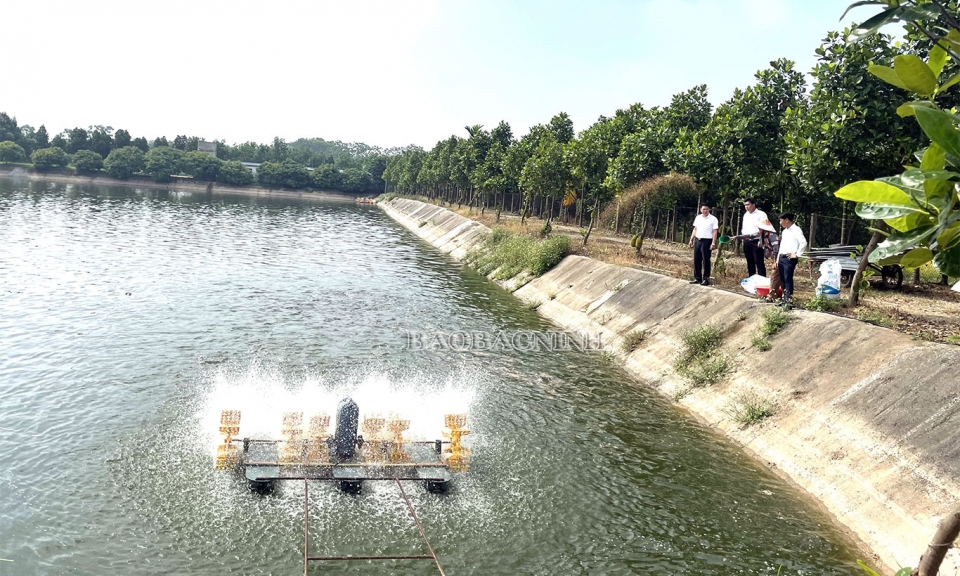 Nỗ lực cán đích  Nông thôn mới nâng cao