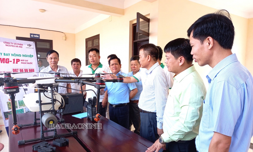 Toàn tỉnh phấn đấu gieo trồng 6.500 ha cây vụ Đông