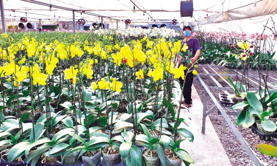 Vì một nền nông nghiệp xanh