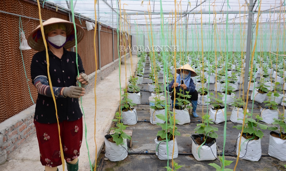 Xử lý mối nguy hại với môi trường