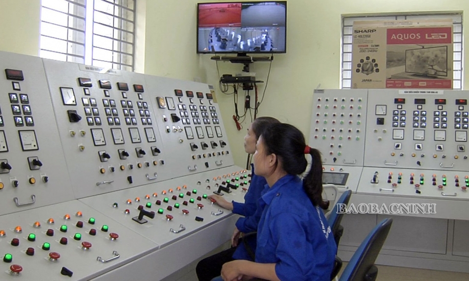 Lúa, hoa màu không bị ngập úng do ảnh hưởng bão số 2