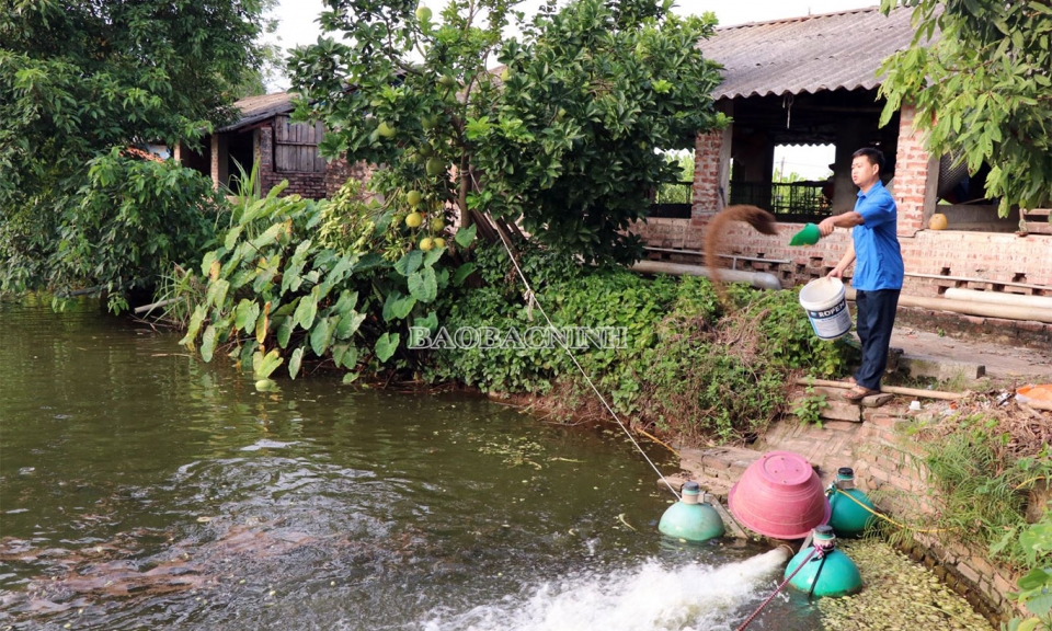 Hỗ trợ thanh niên khởi nghiệp