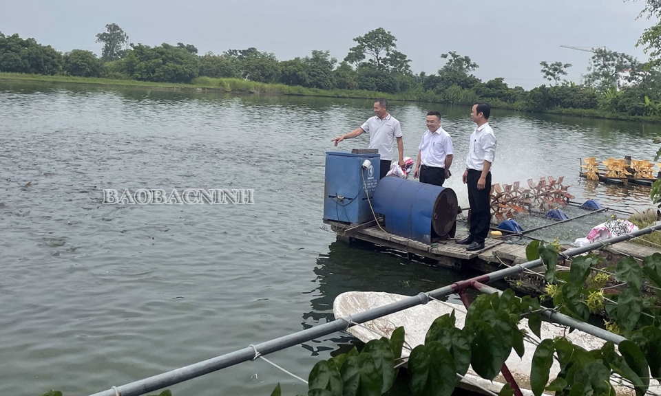 Hơn 3.000 khách hàng huyện Gia Bình sử dụng nguồn vốn Agribank đầu tư phát triển kinh tế