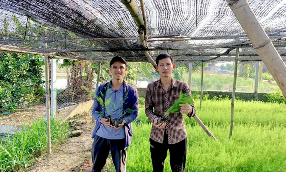 Nhân lên những vùng “xanh”