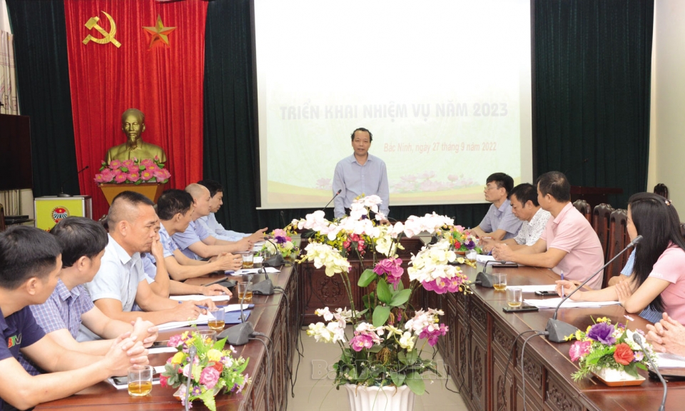 Liên đoàn Cầu lông tỉnh tổng kết giải và triển khai nhiệm vụ năm 2023
