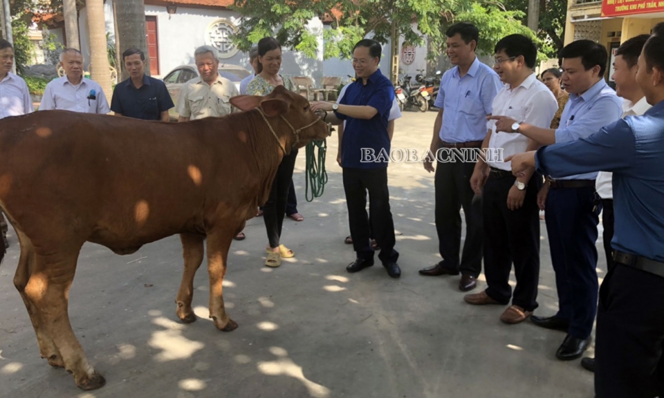Trao “cần câu” giúp hội viên thoát nghèo