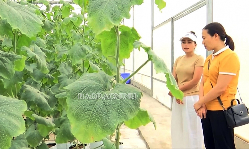 Tạo động lực giúp hội viên phụ nữ phát triển kinh tế