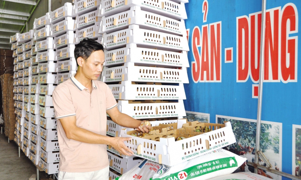 Ngôi nhà chung của nông dân cùng chí hướng