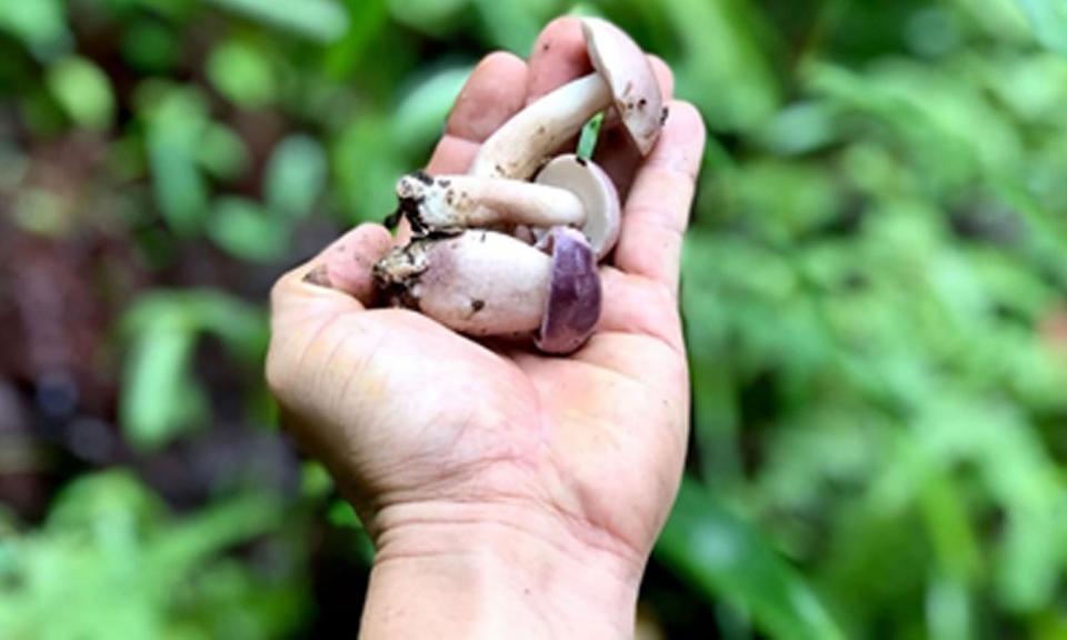 Vẻ đẹp của sự bất toàn