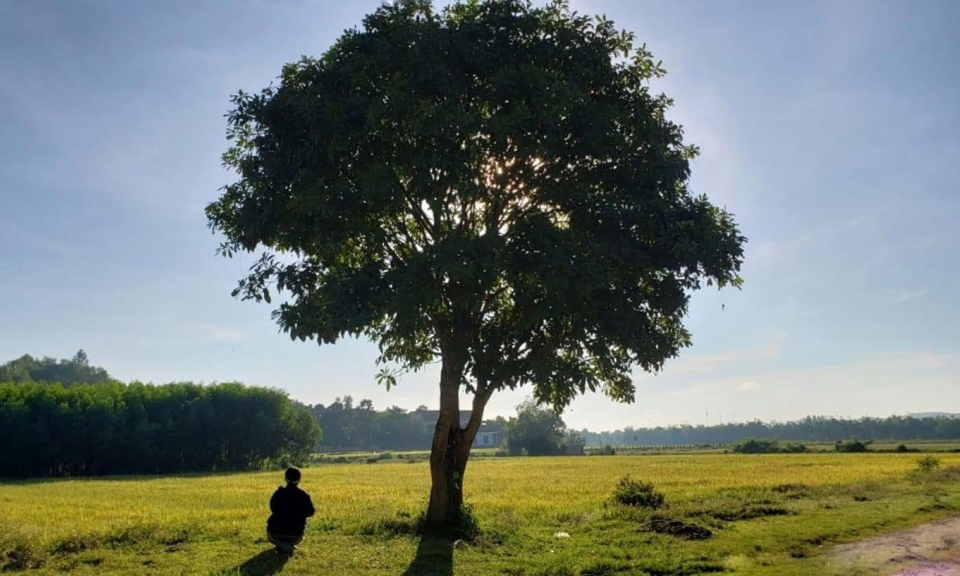 Một mùa thu mới
