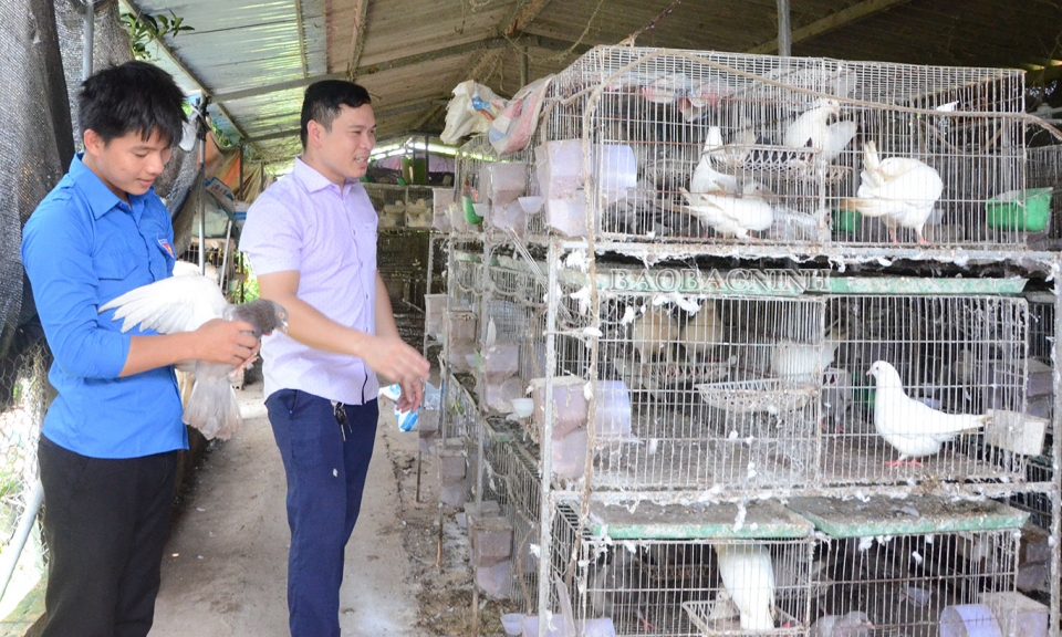 Hơn 406,13 tỷ đồng từ ngân sách địa phương ủy thác cho vay các đối đối tượng chính sách