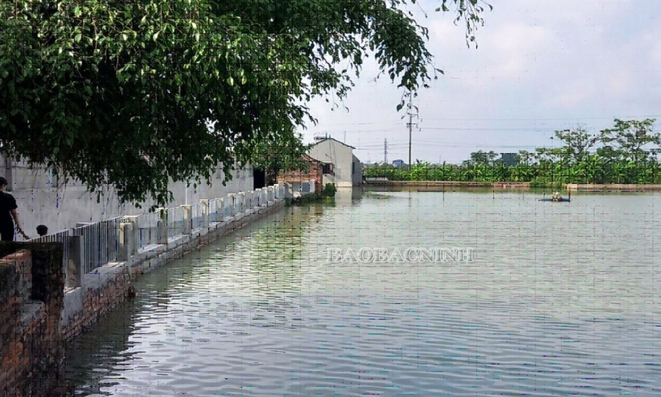 Bảo đảm an toàn nuôi trồng thủy sản trong mùa mưa bão