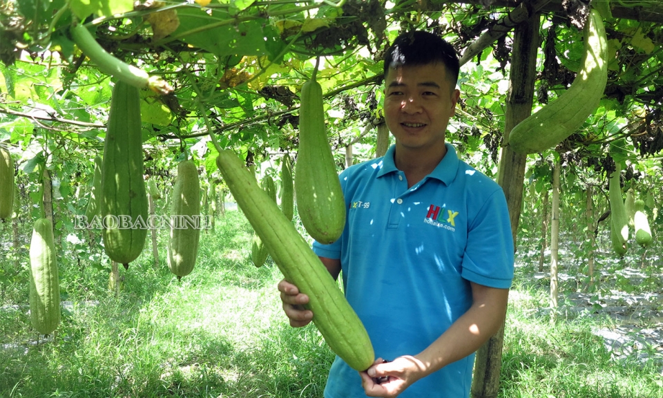 Người “biến” xơ mướp thành hàng hóa xuất khẩu