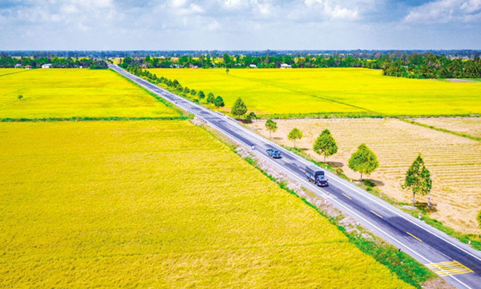 Mong manh nỗi nhớ