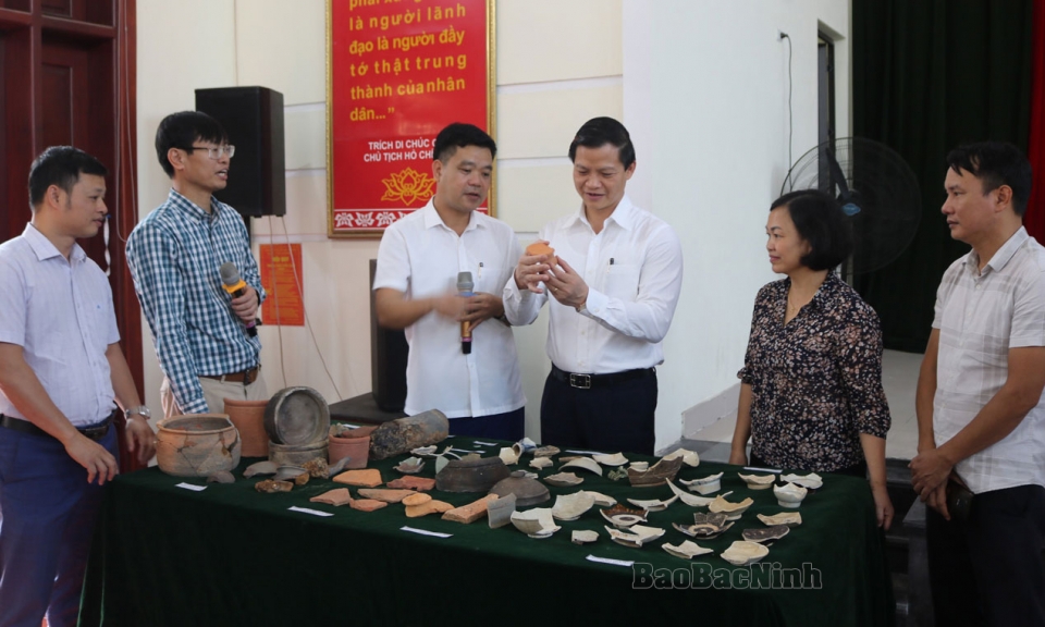 Kết quả khai quật khảo cổ học khẩn cấp tại địa điểm Ao Mộ
