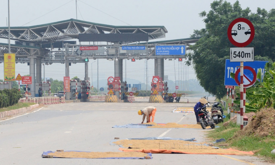 Xử lý nghiêm các trường hợp vi phạm Luật Giao thông