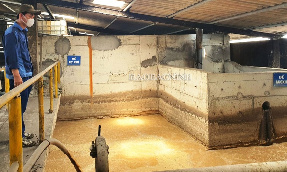 Hơn 100 trường hợp vi phạm về môi trường bị xử lý