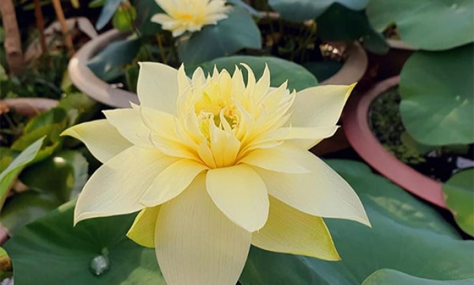 Thay đổi khi chưa muộn