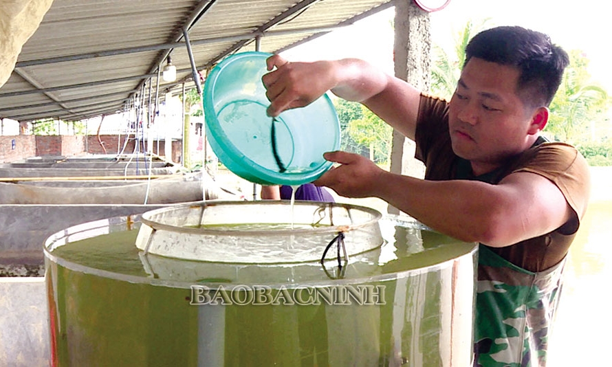 Ứng dụng Công nghệ tạo đột phá  năng suất và chất lượng nông sản