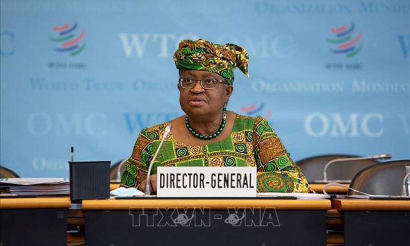 WTO cảnh báo nhiều nền kinh tế lớn có nguy cơ rơi vào suy thoái