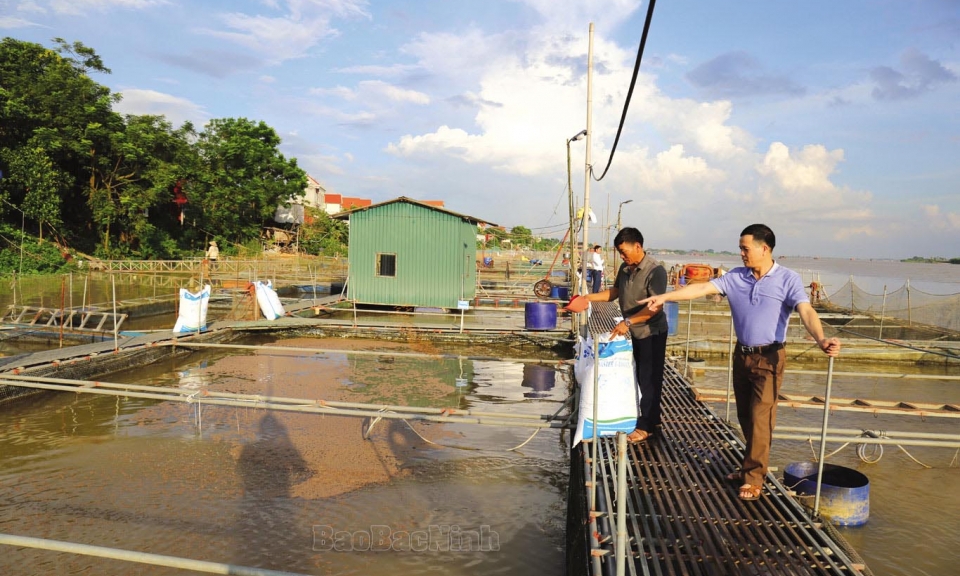 Đảng bộ xã Đức Long nêu gương học Bác
