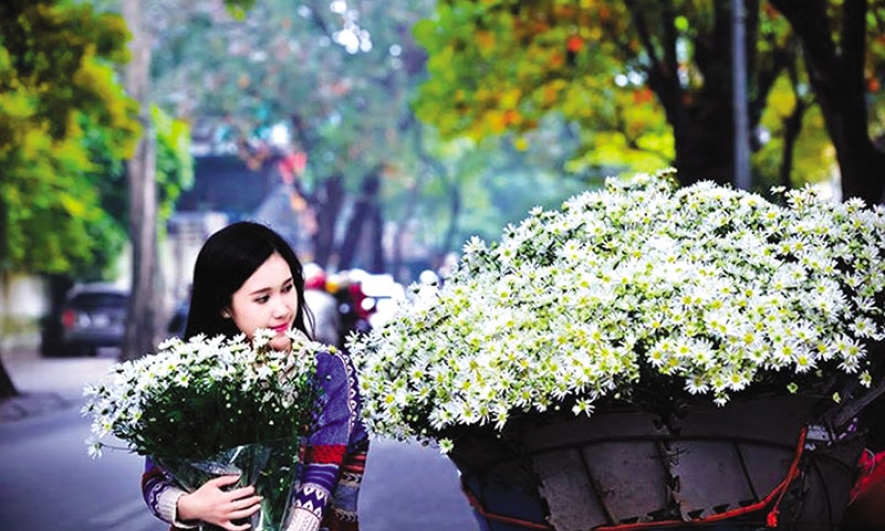 Họa mi trong gió