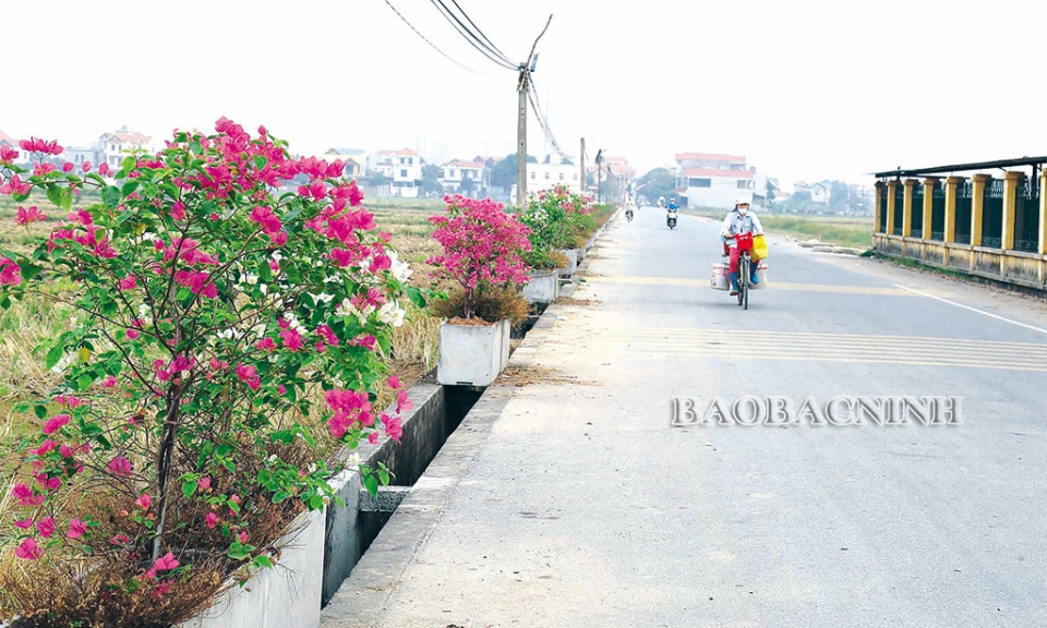 Phú Mỹ đổi mới