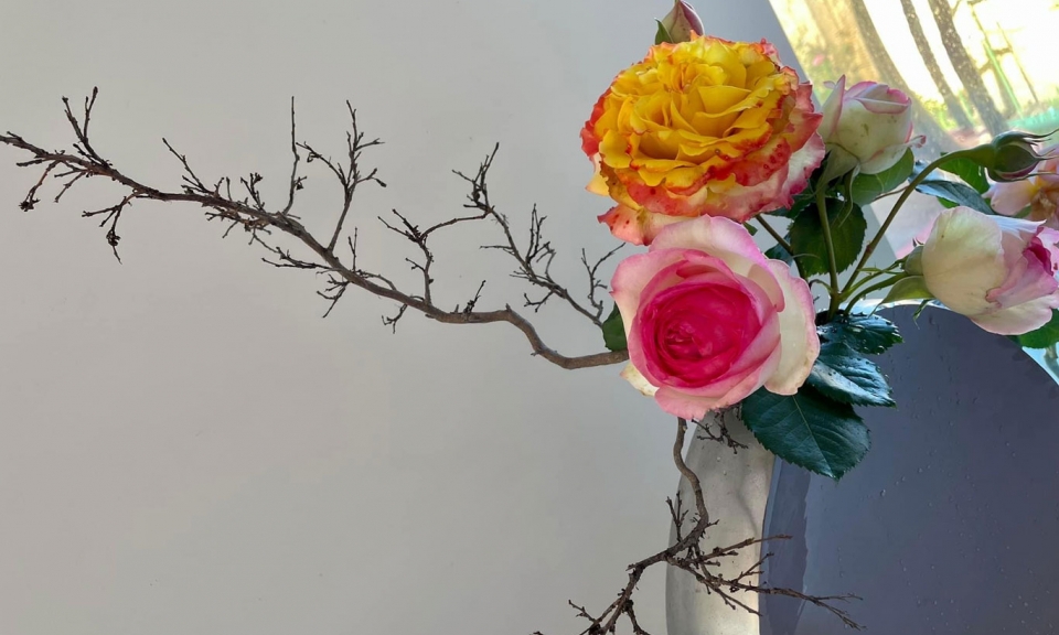 Thấy vậy mà không phải vậy