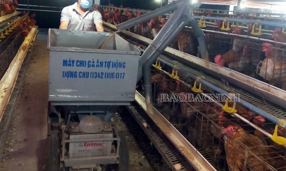 Lan tỏa phong trào nông dân sản xuất kinh doanh giỏi