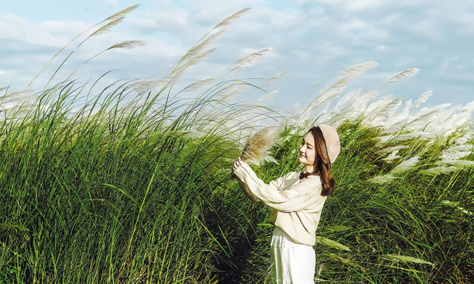 Mùa nào còn vương sợi cỏ lau