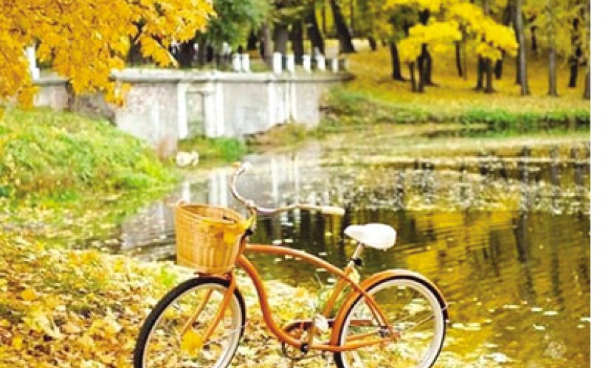 Đông về  trong nỗi nhớ