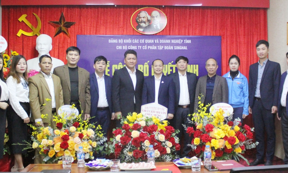 Đảng ủy Khối các Cơ quan và Doanh nghiệp tỉnh công bố Quyết định thành lập Chi bộ cơ sở
