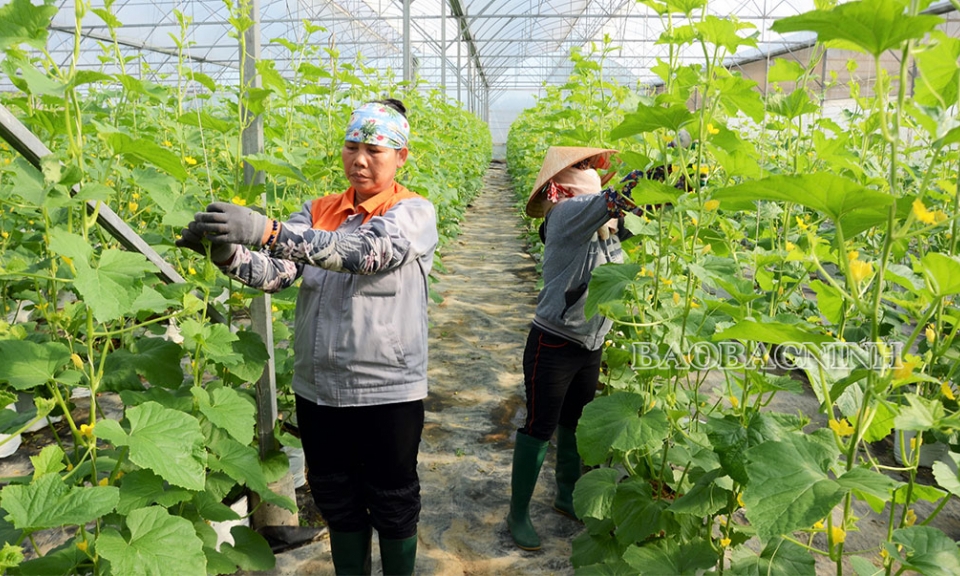 Nỗ lực xây dựng Nông thôn mới nâng cao