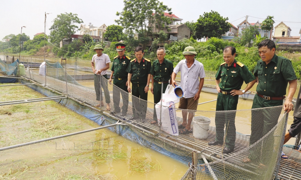 Cựu chiến binh góp sức xây dựng nông thôn mới nâng cao