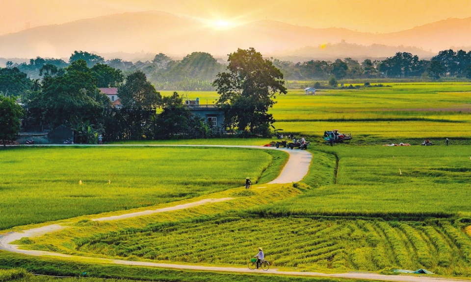 Tiếng Làng