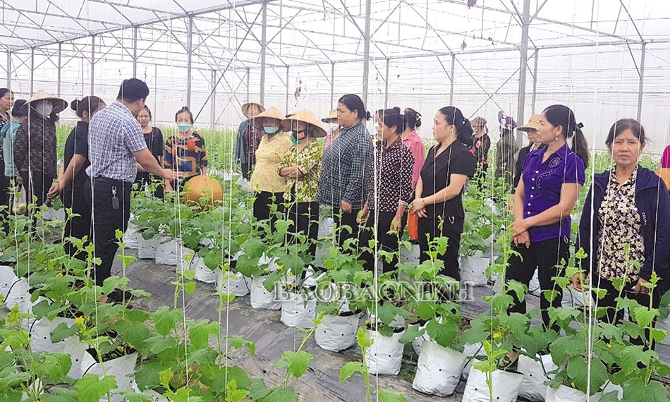 Phụ nữ Đại Lai xây dựng  “Làng Nông thôn mới kiểu mẫu”